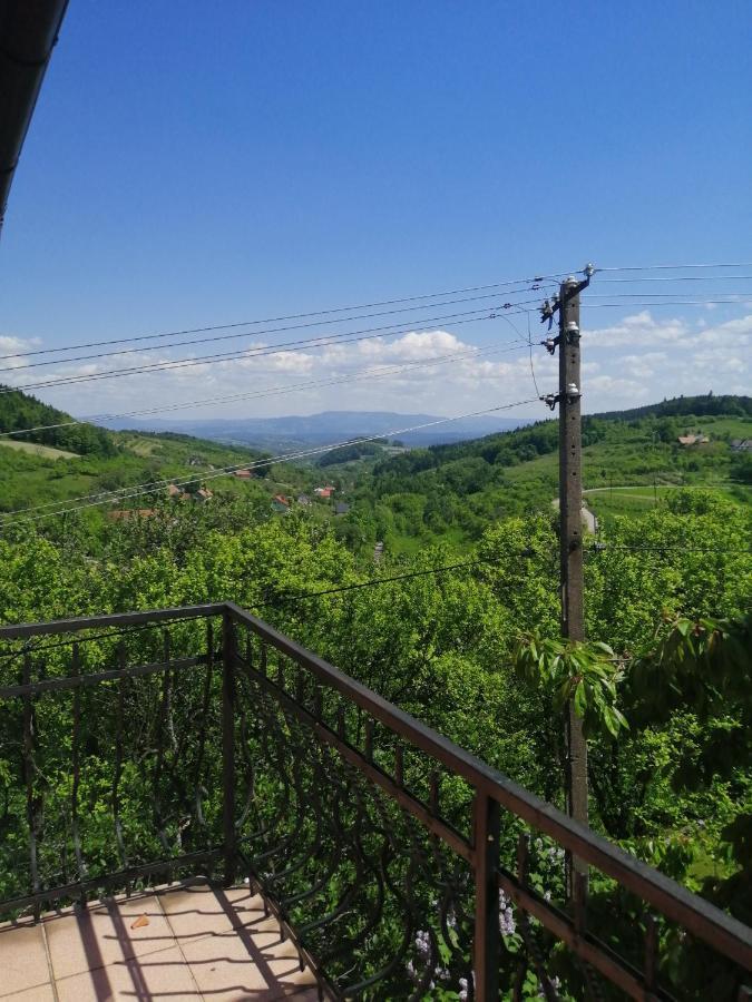 Dom Pod Jabloniami Βίλα Lukowica Εξωτερικό φωτογραφία